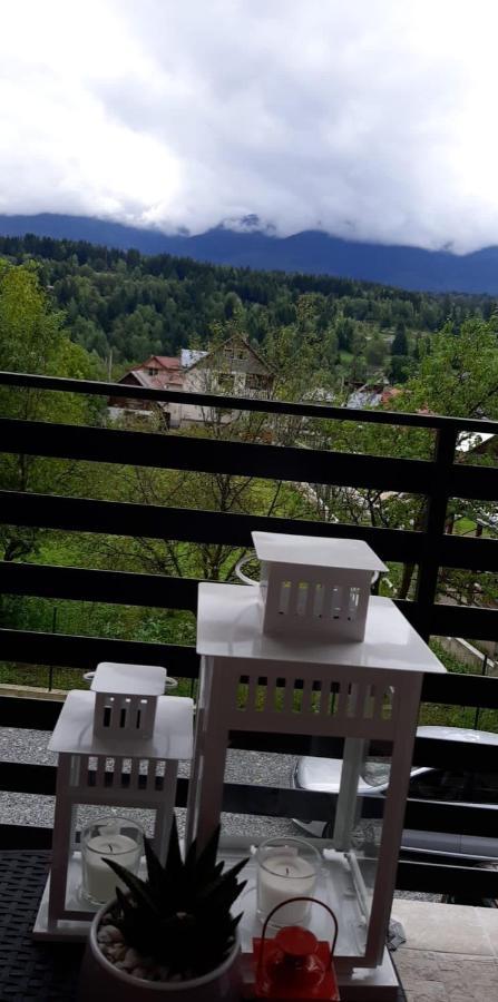 Villa Maya Borşa Dış mekan fotoğraf